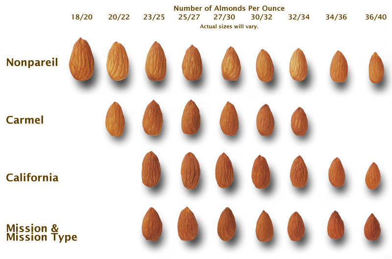 Almond Size Chart